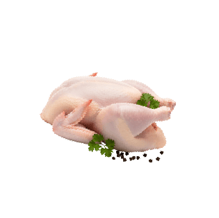 Slaughtered Chicken